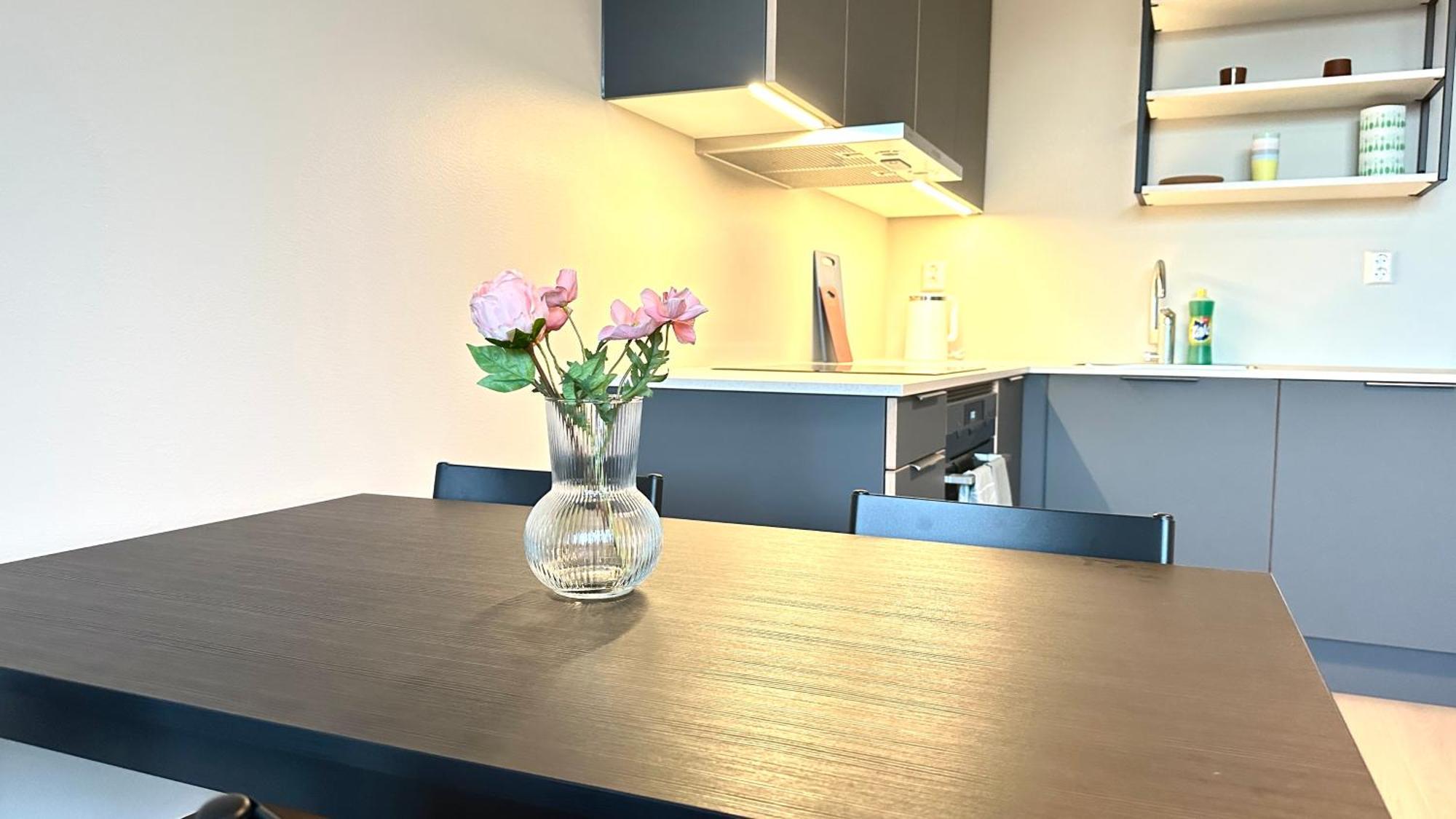 Brand New And Modern Apartment In Oslo Center 外观 照片